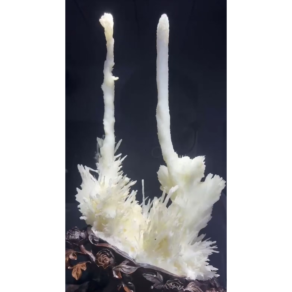 Live Room Link 1 5 7 0...