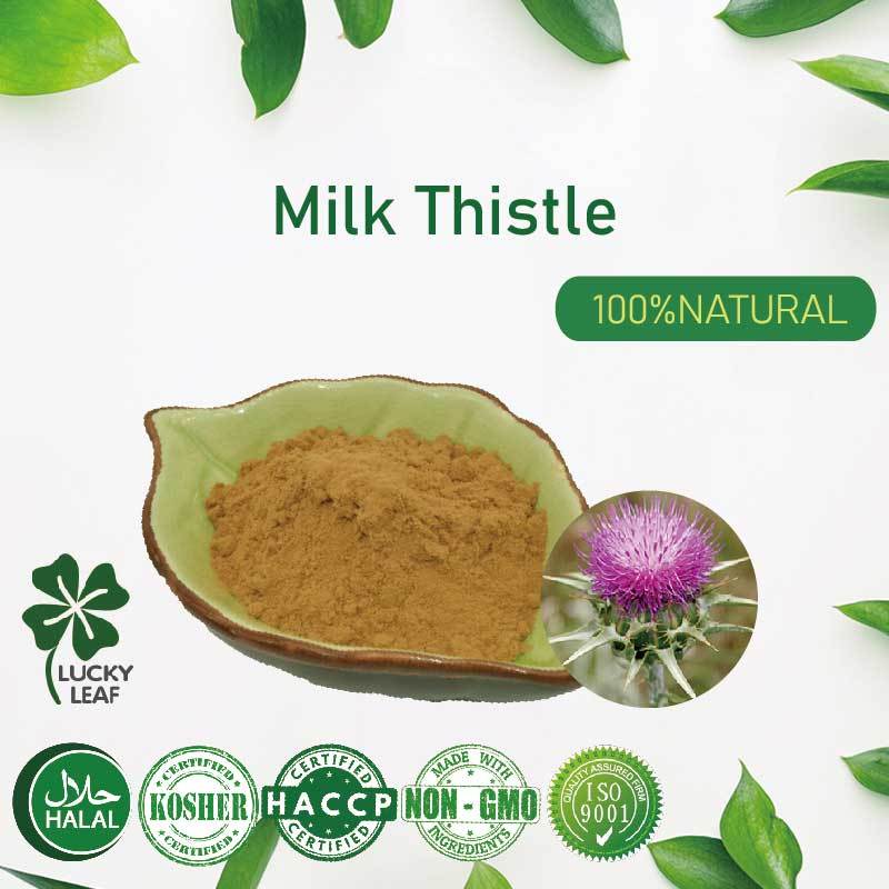 Milk Thistle Powder Extract/Silymarin/Lower transaminase/ซ่อมตับ receptors-Kosher&HALAL ได้รับการรับรอง