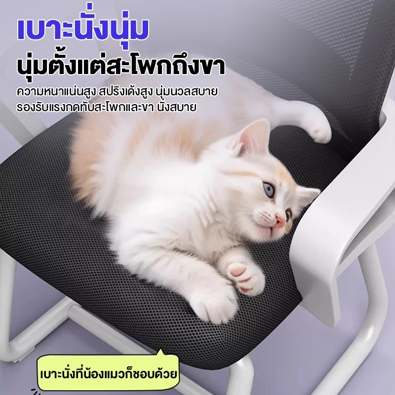 SUNNY เก้าอี้ทํางาน เก้าอี้คอม เบาะยางพาราหนา อัพเกรดพนักพิงระบายอากาศ นั่งสบาย thumbnail 7