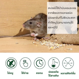 🐭หนูได้กลิ่นก็วิ่งหนี🐭OA สเปรย์ไล่หนู ยาไล่หนู เครื่องไล่หนู 500ml น้ำยาไล่หนู ไล่หนู ในห้องเครื่องรถยนต์ ในรถยนต์ ในบ้าน