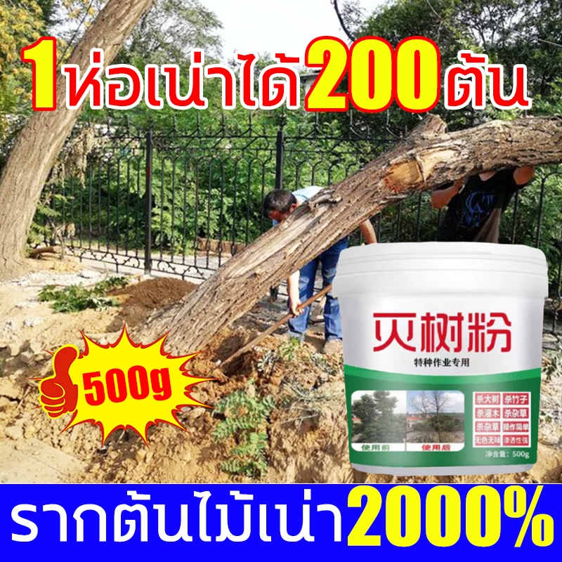 ยาฆ่าต้นไม้ใหญ เข้มข้นสุด 500g 1ขวดเท่ากับ20ขวด ยาฆ่าตอต้นไม้ ตรงไปที่ราก รากเน่ารากตาย ยาฆ่าตอไม