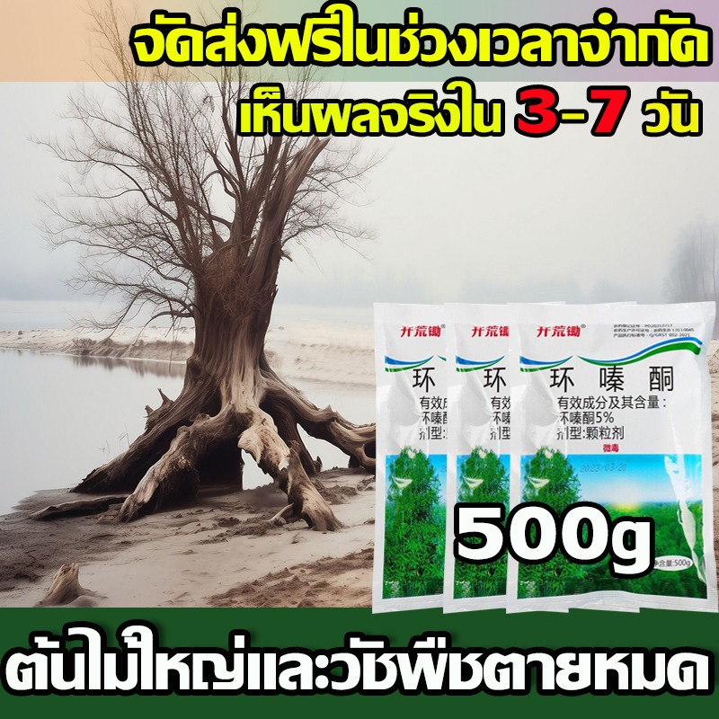 รากเน่ารากไม่ขึ้นอีก ยาฆ่าไม้ไผ่ สารกำจัดกอไผ่ ผงกำจัดกอไผ่ เฮกซาซิโนน 5% 500g บอกลาการตัดต้นไม้ด้วยตนเอง เม็ดกำจัดต้นไม – โปรปัง