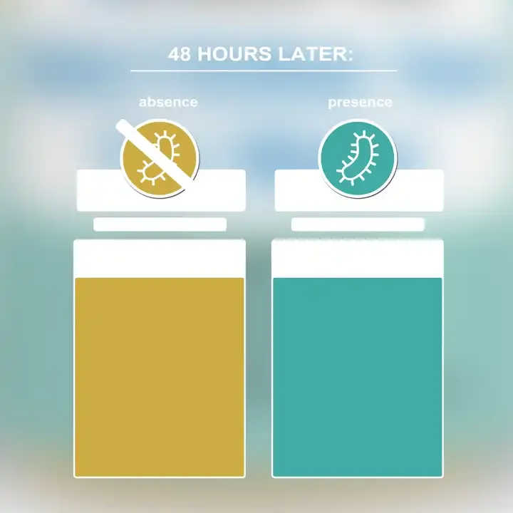 ชุดทดสอบแบคทีเรียสําหรับน้ําดื่มแบคทีเรียในน้ํา อุปกรณ์ทดสอบขั้นตอนเดียว E.Coli และ Coliform - รูปที่ 4