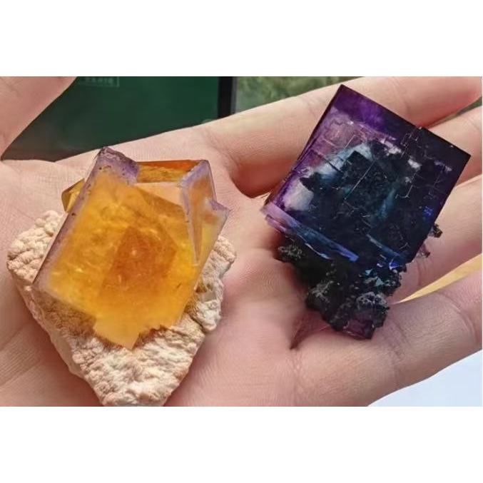 Live Link 7 5 0...**