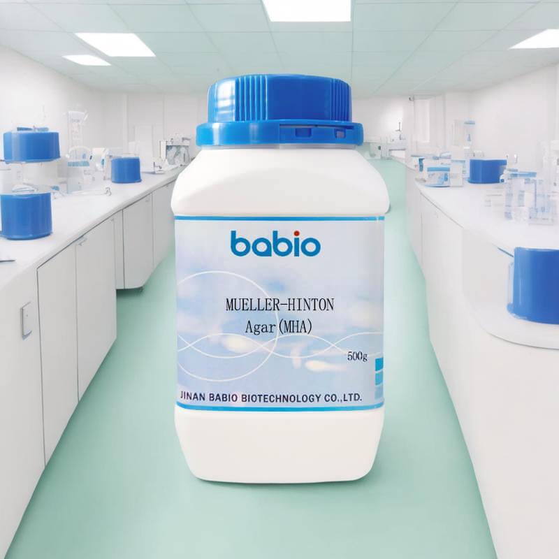 Mueller-Hinton Agar MHA 500g | ฐานการเพาะปลูกการทดสอบต่อต้านไบโอติกที่มีความสําคัญ | ฐานวัฒนธรรมไมโค