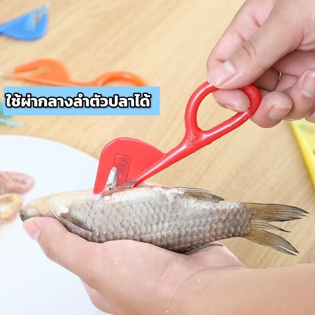 ✨COD✨nyotaer.th กรรไกร กรรไกรตัดอาหาร กรรไกรอเนกประสงค์, มีดกรีดล้างไส้ไก่ มีดกรีดเปลือกกุ้ง มีดกรีดท้องปลา ส่งแบบสุ่มสี