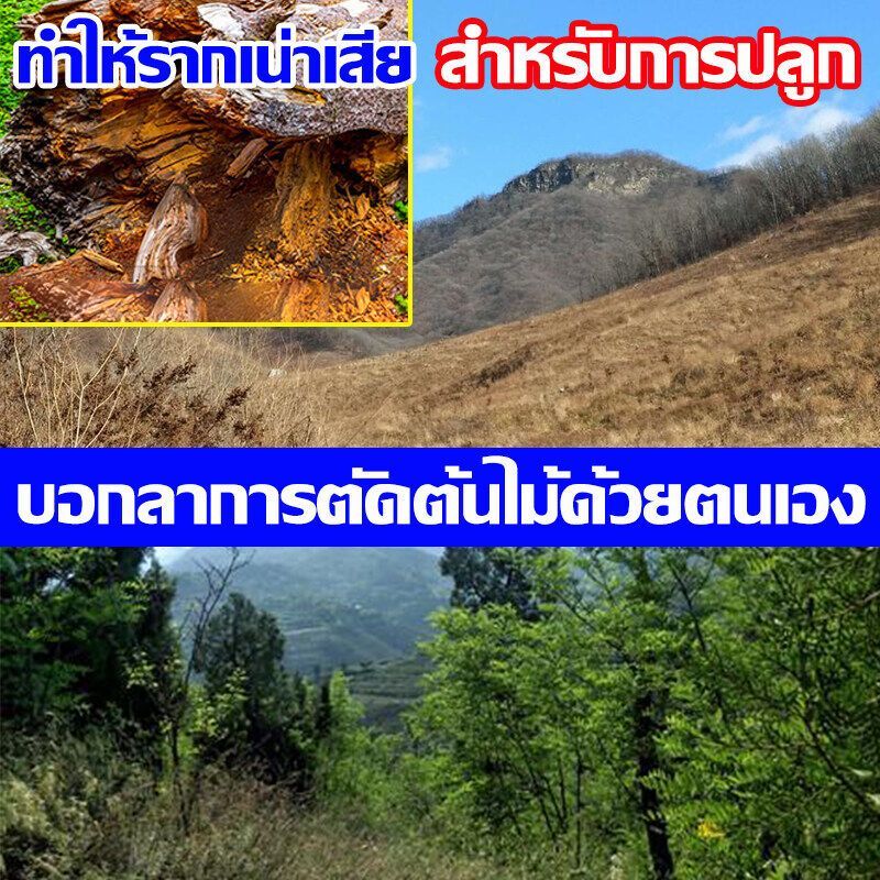 500g ยากำจัดต้นไม้ ยาฆ่าตอต้นไม้ สารกำจัดกอไผ่ ผงกำจัดต้นไผ่ ยาฆ่าตอไม้ สูตรเข้มข้น กำจัดวัชพืชรากเน่า ผลติดทนนาน ไม่ทำล - รูปที่ 4