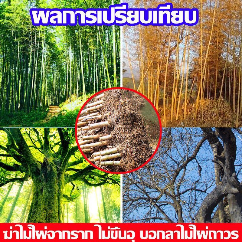 500g ยากำจัดต้นไม้ ยาฆ่าตอต้นไม้ สารกำจัดกอไผ่ ผงกำจัดต้นไผ่ ยาฆ่าตอไม้ สูตรเข้มข้น กำจัดวัชพืชรากเน่า ผลติดทนนาน ไม่ทำล - รูปที่ 6