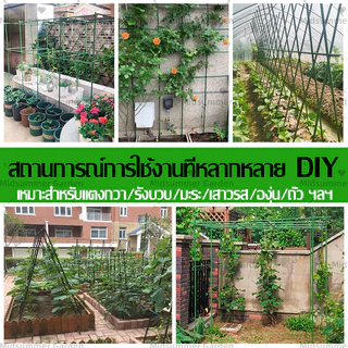 [ชุด 10 ชิ้น] เสาไม้เลื้อย ยาว 60-180ซม หนา 8-20มม สําหรับเรือสําเภา ซุ้มกิ่ง กิ่งผัก คอลัมน์ไม้เลื้อย