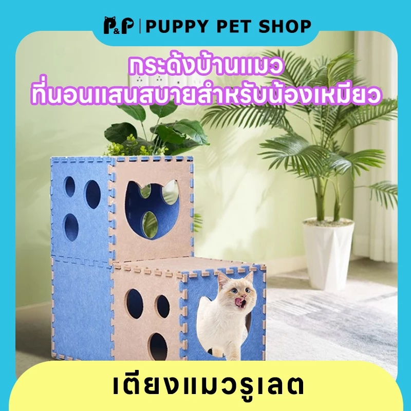 บ้านแมว 2 ชั้น พร้อมที่ลับเล็บชีส