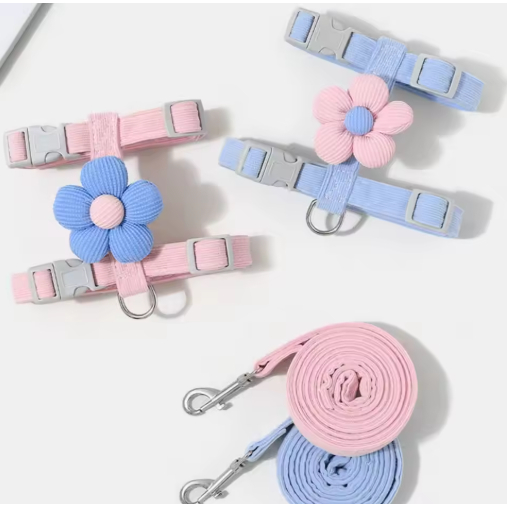 สายจูงรูปหมีน้อยสำหรับสัตว์เลี้ยง แมว กระต่าย หมา ใช้ได้ - รูปที่ 2