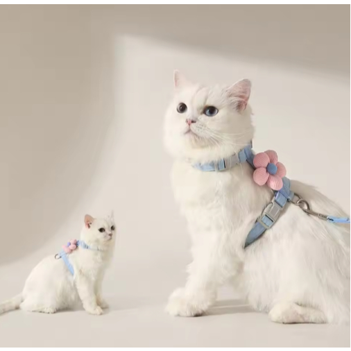 สายจูงรูปหมีน้อยสำหรับสัตว์เลี้ยง แมว กระต่าย หมา ใช้ได้