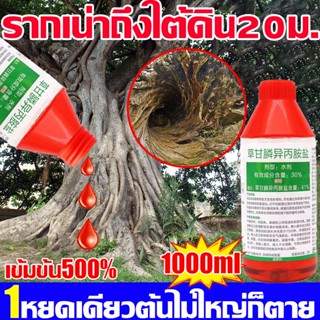 💥ได้ผลจริงๆไม่ผิดหวัง💥ยาฆ่าต้นไม้ใหญ เข้มข้นสุดๆ1000ml ยาฆ่า…