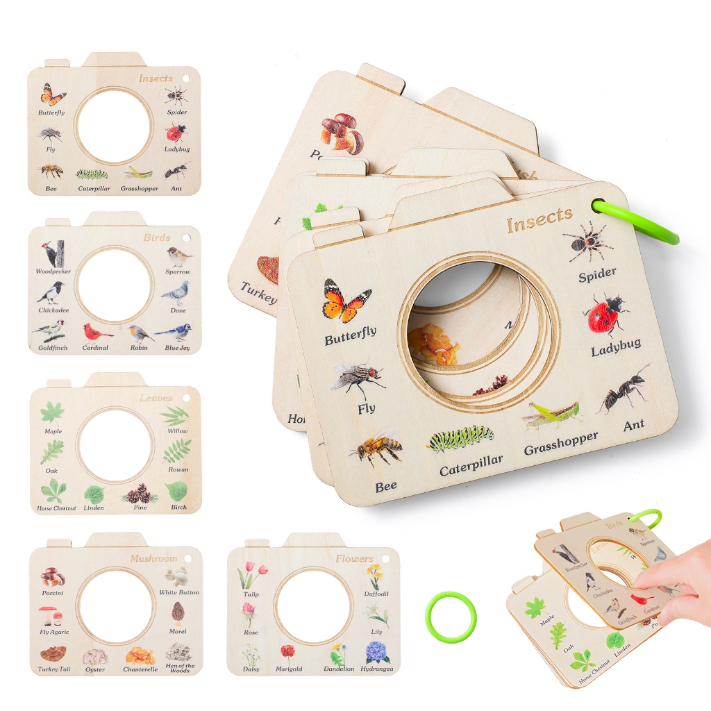 5 ธีม Montessori สอนหนังสือไม้กลางแจ้งสํารวจแมลงนกดอกไม้และพืชสํารวจคณะกรรมการความรู้ความเข้าใจเด็กภาษาอังกฤษคําการเรียนรู้หนังสือ