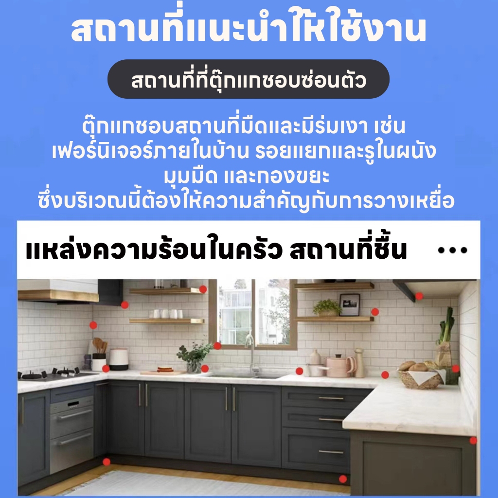 จิ้งจกกำจัดแรงสูง MAK ยาฆ่าตุ๊กแก ไล่ตุ๊กแก ยาจิ้งจก จิ้งจกติดเชื้อตายรัง ยาฆ่าจิ้งจก กําจัดจิงจก  ฆ่าจิ้งจก ราคา ถูกที่สุด ดีลบีเคเค แกลเลอรีภาพที่ 4