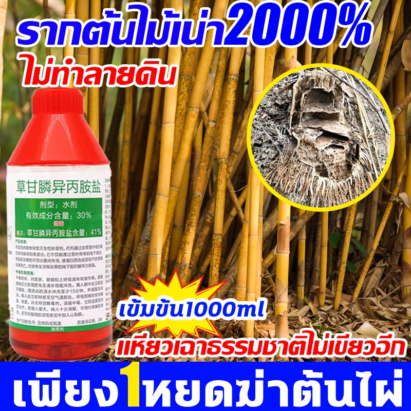 💥หยดตายจากราก💥ยาฆ่ากอไผ่ เข้มข้นสุด1000ml ยาฆ่าไผ่ ตรงไปที่ราก สารกําจัดกอไผ่ รากเน่ารากไม่ขึ้นอีก ยาฆ่าไม้ไผ่ ไม่เป็นอันตรายต่อดิน สารฆ่ากอไผ่ ยาฆ่าต้นไม้ใหญ่ ยาฆ่าตอไม้ ยาฆ่าหญ้า