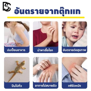 🚫🦎ไม่มีจิ้งจกนาน 50 ปี🦎🚫 Hb ยาฆ่าจิ้งจก ยาฆ่าตุ๊กแก ไล่จิ้งจก 1 กล่อง 24 เม็ด ฆ่าตุ๊กแก ไล่ตุ๊กแก ยาไล่ ล่อแมลงได้อย่างทรงพลัง อัตราการกำจัดสูงถึง 99.99%