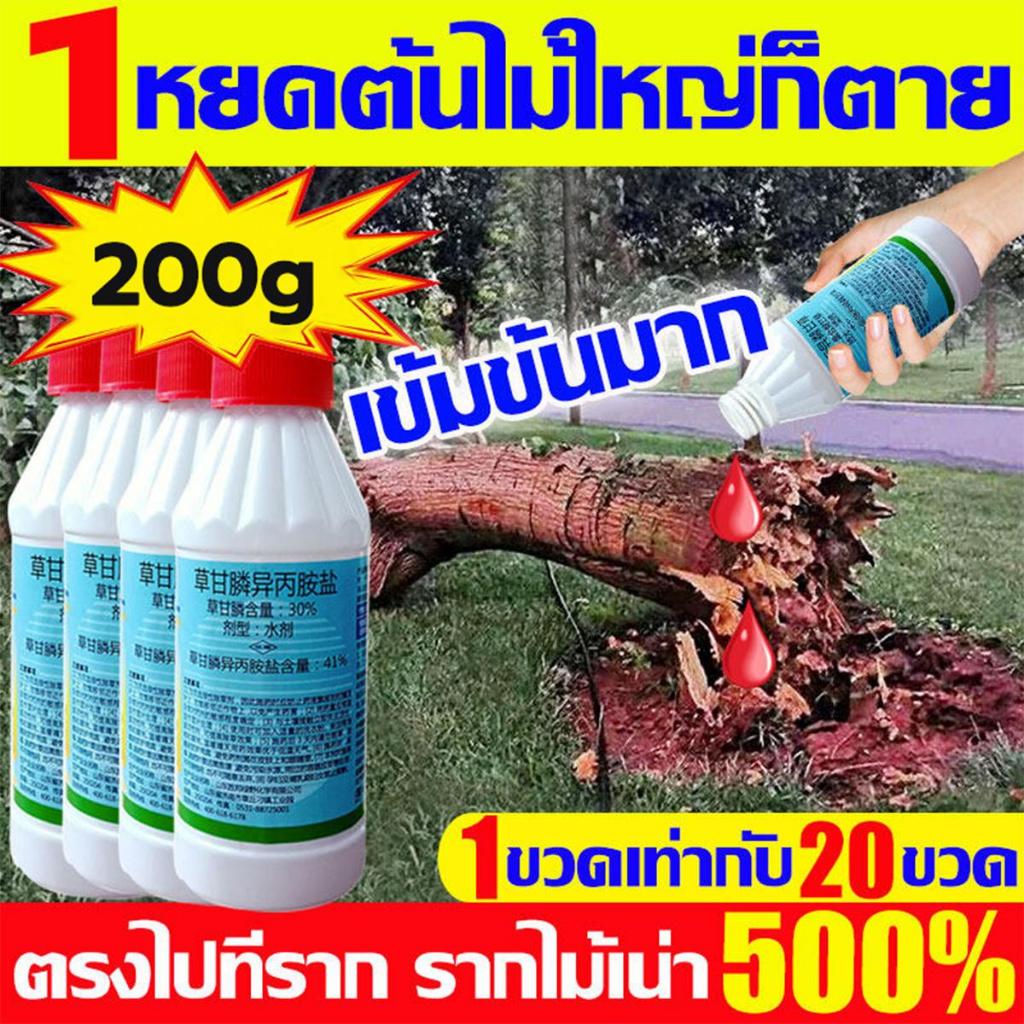 【ซื้อ 3 แถม 1】ยาฆ่าต้นไม้ใหญ เข้มข้นสุด 200ml 1ขวดเท่ากับ20ขวด ยาฆ่าตอต้นไม้ ตรงไปที่ราก รากเน่ารากตาย ยาฆ่าตอไม้ใหญ่ บอกลาการตัดต้นไม้ด้วยตนเอง ไม่เป็นอันตรายต่อดิน ยากำจัดต้นไม้ ยา