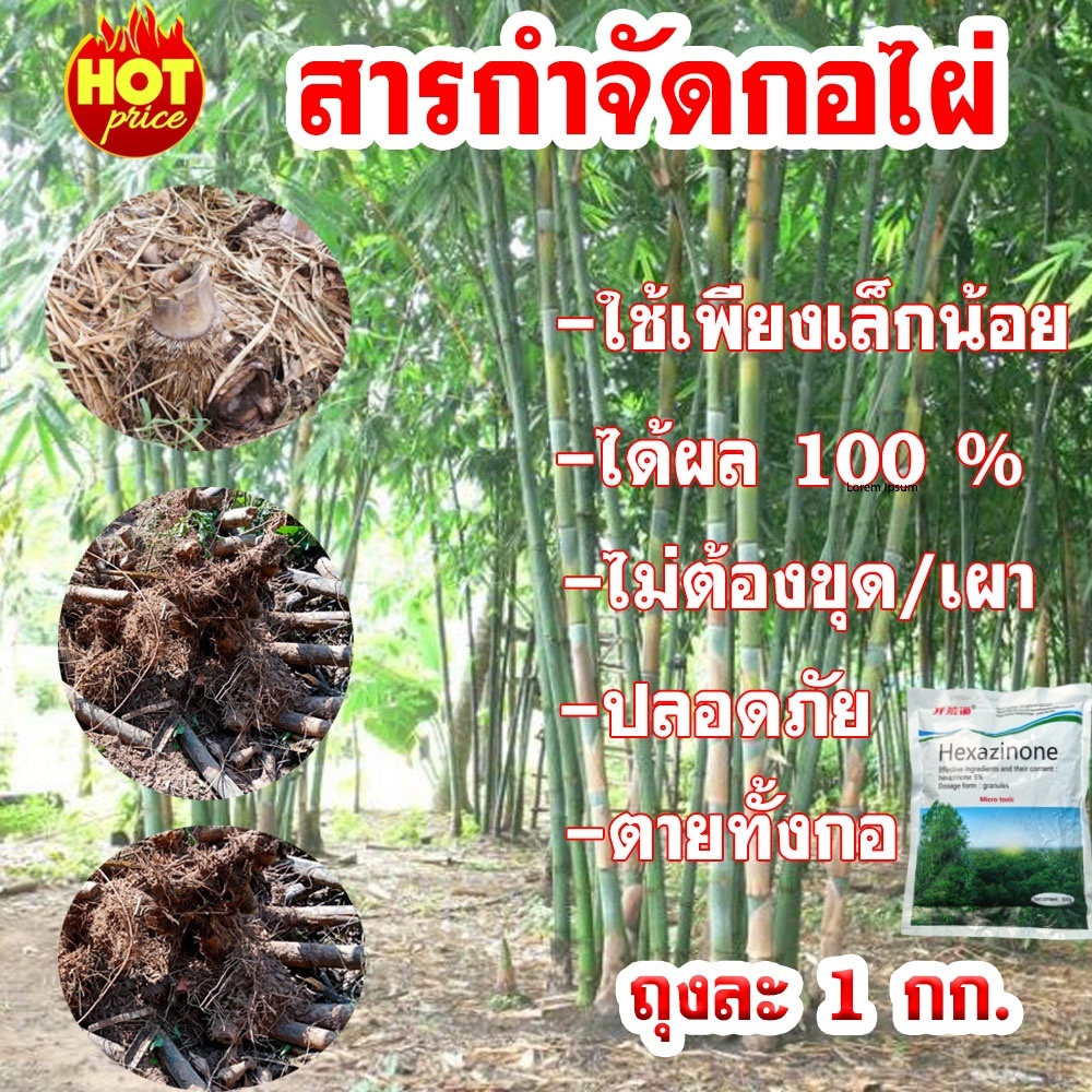 【ซื้อ 3 แถม 1】รากเน่ารากไม่ขึ้นอีก ยาฆ่าไม้ไผ่ สารกำจัดกอไผ่ ผงกำจัดกอไผ่ เฮกซาซิโนน 5% 500g บอกลาการตัดต้นไม้ด้วยตนเอง เม็ดกำจัดต้นไม
