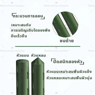ไม้ค้ําต้นไม้ ยาว 40–180 ซม. หนา 8–20 มม. รองรับผักและไม้เลื้อย