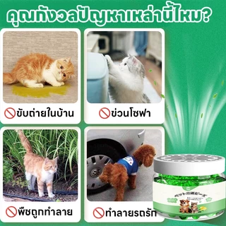 🐱 ไล่แมวอย่างมีประสิทธิภาพ 🐱ไล่แมว ยาไล่แมว ป้องกันแมวเข้าบ้าน กลิ่นติดทนนาน ใช้งานง่าย ซื้อ 1 แถม 1