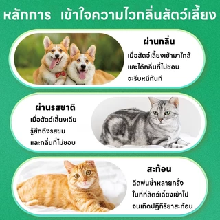 🐱 ไล่แมวอย่างมีประสิทธิภาพ 🐱ไล่แมว ยาไล่แมว ป้องกันแมวเข้าบ้าน กลิ่นติดทนนาน ใช้งานง่าย ซื้อ 1 แถม 1