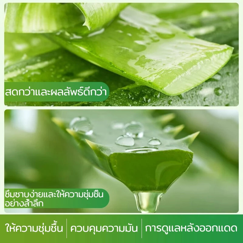 Yalois เจลว่านหางจรเข้99% ฟื้นฟูผิวไหม้แดดใน3นาที! ชุ่มชื้น24ชม. ไม่เหนียวเหนอะ - รูปที่ 2