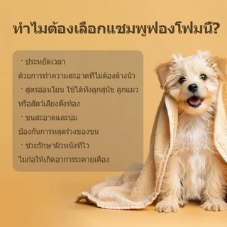 จัดส่งฟรี💦 IVON Dry Shampoo 💦โฟมอาบน้ำแห้งสัตว์เลี้ยง แชมพูแมว สบู่อาบน้ําหมา แชมพูสุนัข สูตรอ่อนโยน ปลอดภัย ดับกลิ่น สะอาด 500ml