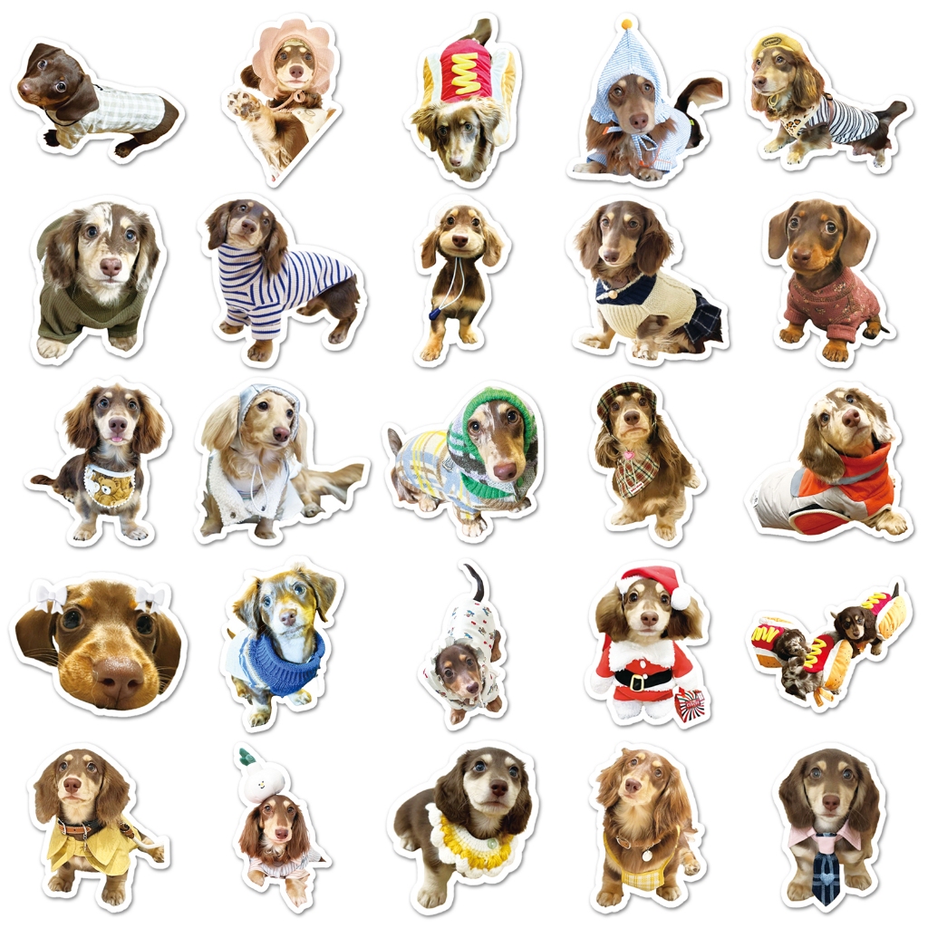 ตลก 50 ชิ้นน่ารักดัชชุนสติกเกอร์สุนัขสําหรับเคสโทรศัพท์สเก็ตบอร์ดรถสติกเกอร์ Graffiti กันน้ําสร้างสรรค์เด็ก DIY - รูปที่ 5