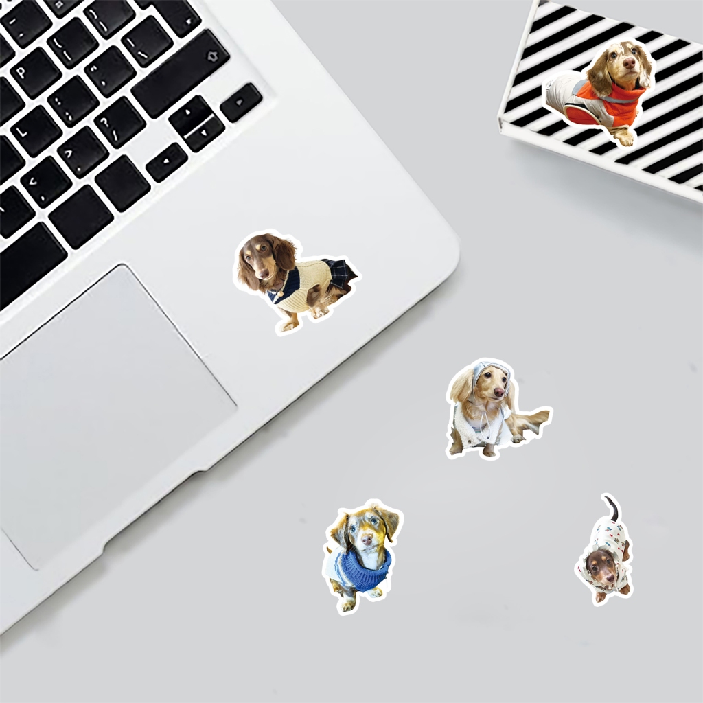 ตลก 50 ชิ้นน่ารักดัชชุนสติกเกอร์สุนัขสําหรับเคสโทรศัพท์สเก็ตบอร์ดรถสติกเกอร์ Graffiti กันน้ําสร้างสรรค์เด็ก DIY - รูปที่ 2