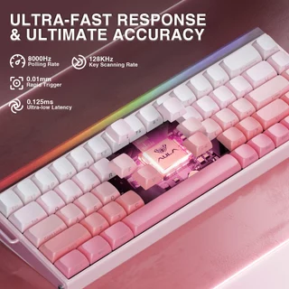 Aula HERO 68HE Magnetic RT Mechanical Keyboard 68Keys 8Khz คีย์บอร์ดพุดดิ้ง RGB แบบมีสาย Fast Trigger Hot Swappable Magnetic Switch