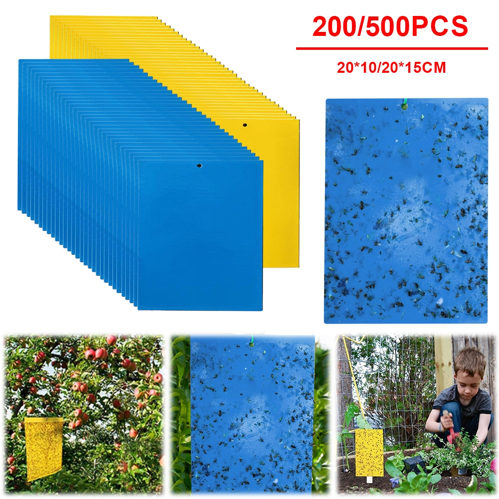 [จัดส่งในพื้นที่] 200/500 ชิ้นสองด้านกระดานเหนียวแมลง Catcher Bugs พืชดอกไม้แมลงสติกเกอร์ Thrips Pest Killer อุปกรณ์เสริม