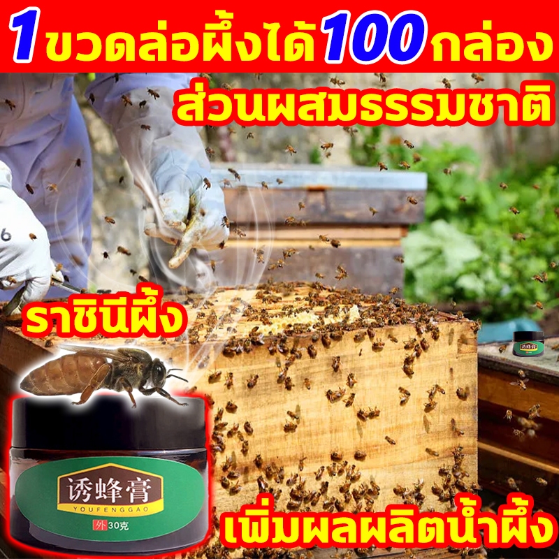ฟีโรโมนล่อผึ้งธรรมชาติ 30g ส่วนผสมธรรมชาติ สําหรับฉีดกล่องเลี้ยงผึ้งโพรงไทย เพิ่มผลผลิตน้ําผึ้ง