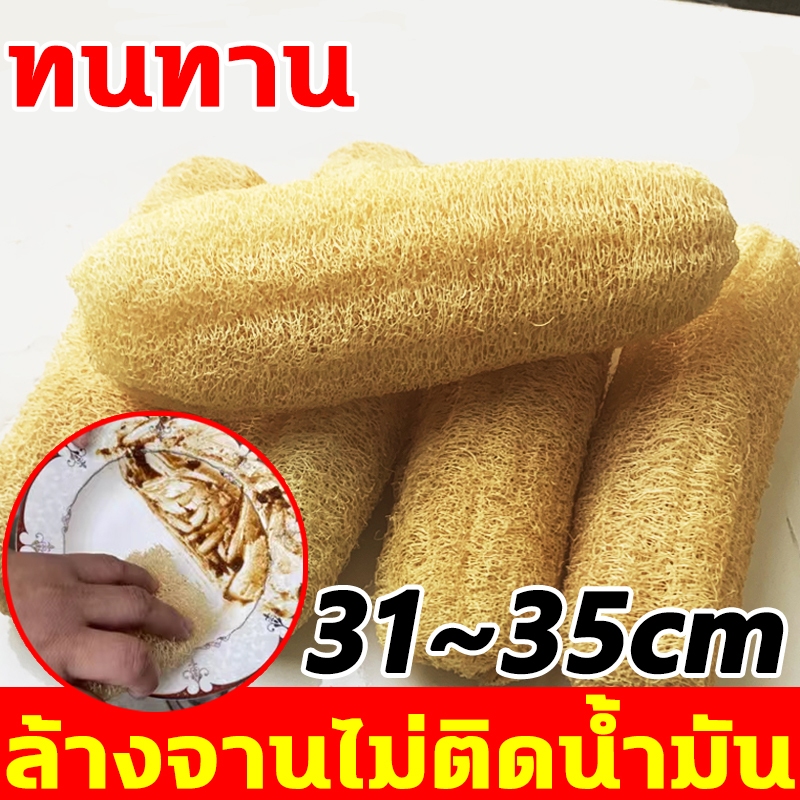 การเติบโตตามธรรมชาติอย่างแท้จริง ใยบวบ ไม่ทำให้หม้อชามเสียหายไม่ติดคราบน้ำมันไม่หลุดร่วง ใยบวบขัดผิว ใยบวบธรรมชาติ