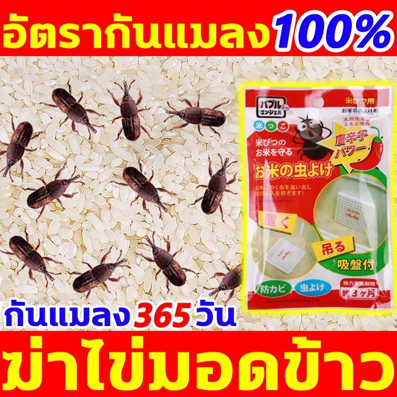 เทคโนโลยีญี่ปุ่น แผ่นไล่มอดกันมอดในข้าวสาร กําจัดมอด ป้องกันมอด