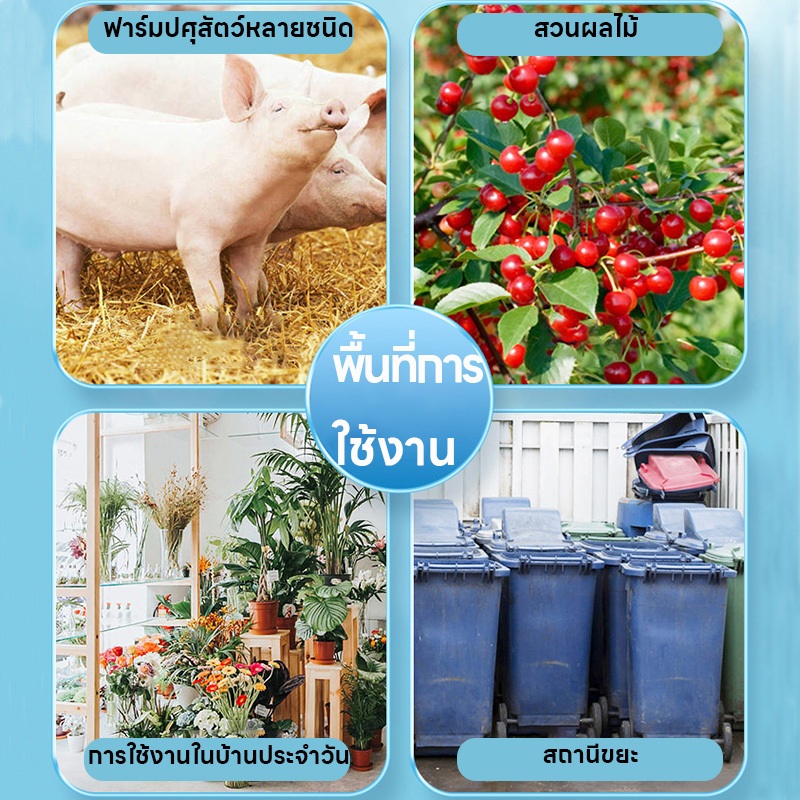 🪰เทคโนโลยีผลิตภัณฑ์ล่าสุด🪰 BS ฆ่าแมลงวัน กำจัดแมลงวัน ไล่แมลงวัน เหยื่อล่อแมลงวัน ไล่แมลงวัน ไล่แมลงหวี่ แมลงวัน แมลงวัน ใช้ได้ 24 ชิ้น/กล่อง 3 ปี ไม่เป็นอันตรายต่อร่างกายและอาหาร แต่ร้ายแรงต่อแมลงวัน - รูปที่ 3