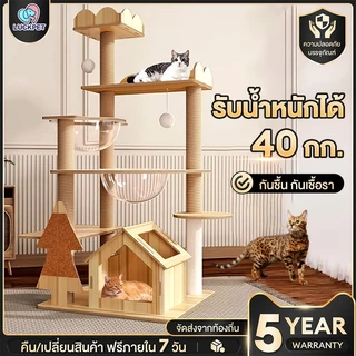 คอนโดแมว ขนาดใหญ่ คอนโดแมวไม้ คอนโดต้นไม้แมว บ้านแมว เหมาะสำหรับเลี้ยงน้องแมว 4-6ตัว เสาลับเล็บ