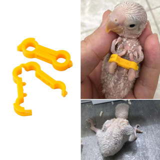 ขานกแก้ไขแหวนไก่นกแก้วหนุ่มนก ค อธิการบดี หัวเข็มขัดขา 4 มม.…