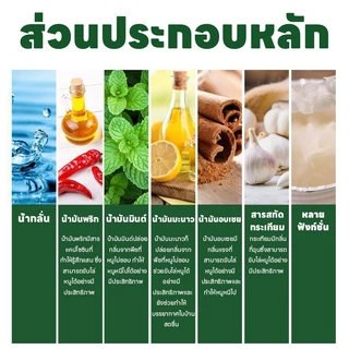 🐭10 ปีไม่มีหนู🐭 Li สเปรย์ไล่หนู ไล่หนู น้ำยาไล่ น้ำยาขับสำหรับรถยนต์ ส่วนผสมจากพืช ไม่มีพิษ ไม่มีอันตราย 500 มิลลิลิตร