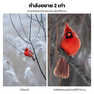 Neewer LS-41 PRO 60 มม. เลนส์เทเลโฟโต้พร้อมคลิปเลนส์ 17 มม. & อะแดปเตอร์ฟิลเตอร์ 67 มม.