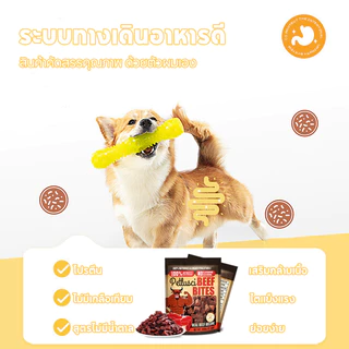 อาหารสุนัข 500 กรัม ขนมสุนัข เนื้อวัวแท้ 100% ออร์แกนิก สดและนุ่ม เสริมแคลเซียม เพิ่มความต้านทาน