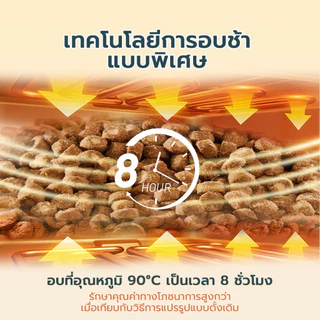 Bite Of Wild B45 อบอย่างพิถีพิถัน 1 กก. ทูน่าแมว Kibbles 45% เนื้อสูง Grain-ฟรี, ลูกแมวที่เหมาะสมและแมวโต