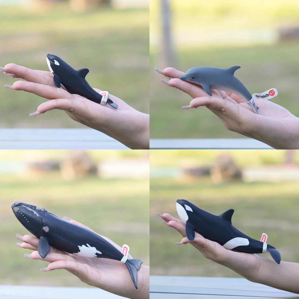 Schleich Ocean Series Little Dolphin Big Small Killer Whale Killer Whale Beluga ของเล่นโมเดล