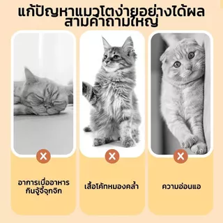 6 ชนิด💞 ฟรีซดรายแมว ขนมแมว ขนมสุนัข ฟู้ดเกรด ขนมฟรีซดรายแมว ไม่มีสารปรุงแต่งหรือเจือปนทั้งสิ้น สารอาหารครบถ้วน