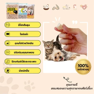6 ชนิด💞 ฟรีซดรายแมว ขนมแมว ขนมสุนัข ฟู้ดเกรด ขนมฟรีซดรายแมว ไม่มีสารปรุงแต่งหรือเจือปนทั้งสิ้น สารอาหารครบถ้วน