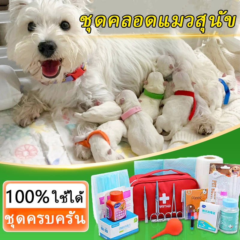 อุปกรณ์ทำคลอดหมา ชุดช่วยคลอด ผลิตภัณฑ์สําหรับสัตว์เลี้ยง ครบหมดจบพร้อมคลอด ทำคลอดแมว เครื่องมือสะดือ คลอดบุตร