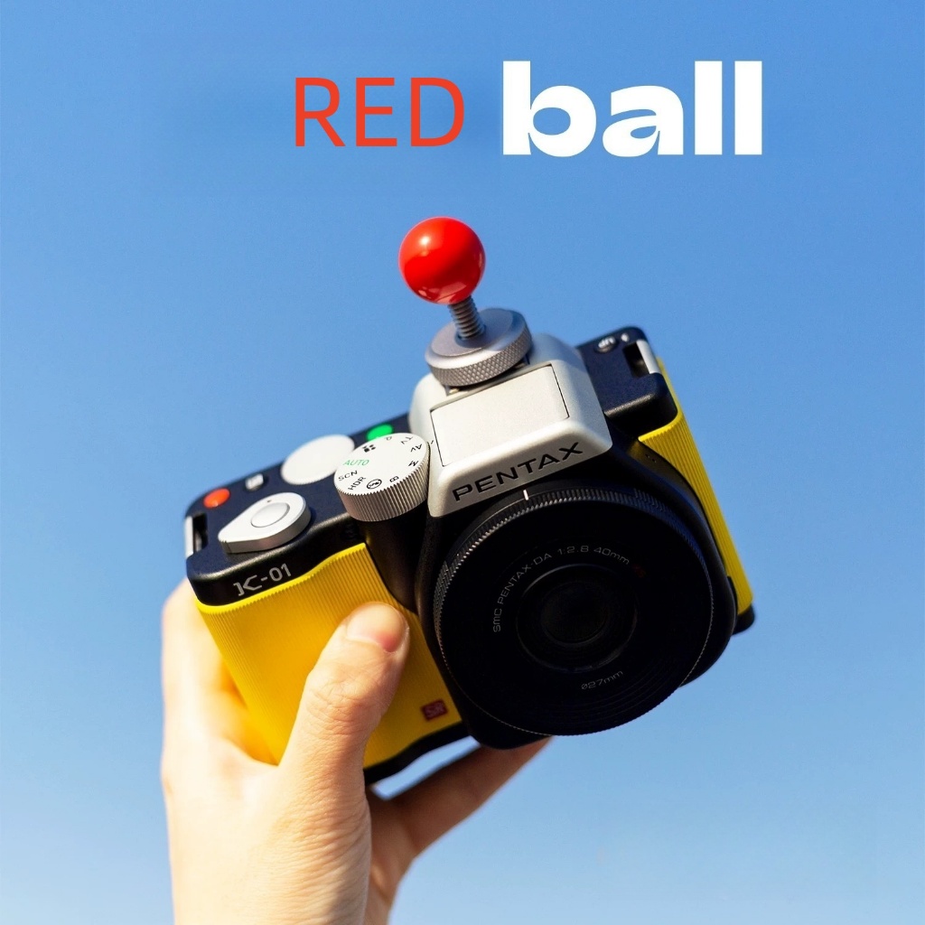 ของแท้ Popmart Popbean Universal Cute Camera Hot Shoe Cover Molly dimoo เหมาะสําหรับ fujifilm และฝาครอบป้องกันกล้องดิจิตอล Slr อื่นๆ