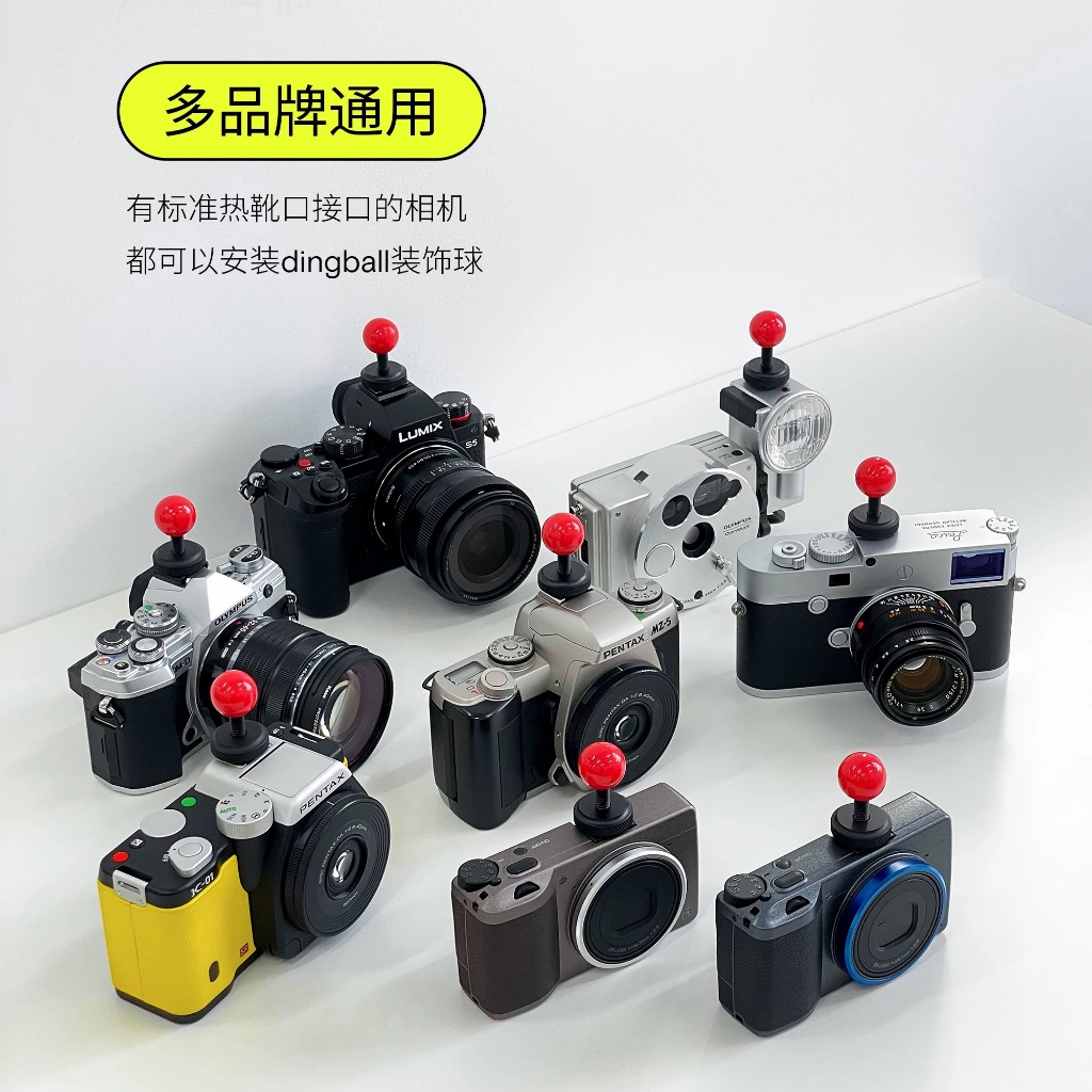 ของแท้ Popmart Popbean Universal Cute Camera Hot Shoe Cover Molly dimoo เหมาะสําหรับ fujifilm และฝาครอบป้องกันกล้องดิจิตอล Slr อื่นๆ
