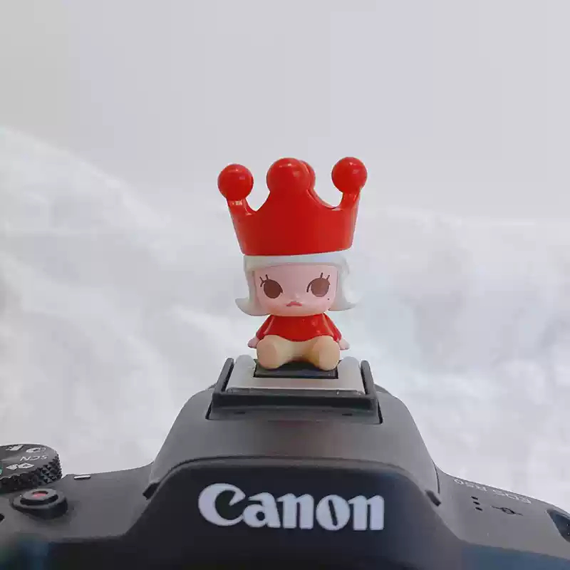 ของแท้ Popmart Popbean Universal Cute Camera Hot Shoe Cover Molly dimoo เหมาะสําหรับ fujifilm และฝาครอบป้องกันกล้องดิจิตอล Slr อื่นๆ