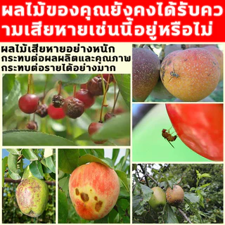 ชุดดักแมลงวันทอง พร้อมสารล่อเมทิลยูจินอล (แมลงวันทองผลไม้ หนอนเจาะผลไม้ พริก มะเขือ ) สำหรับ โรงเรือน แปลงเกษตร สวนผลไม้